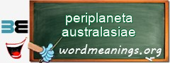 WordMeaning blackboard for periplaneta australasiae